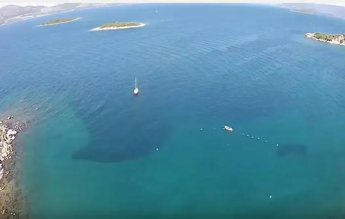 Urlic * 斯瑞瑟尔